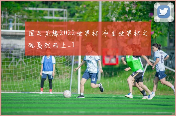 国足无缘2022世界杯 冲击世界杯之路戛然而止_1