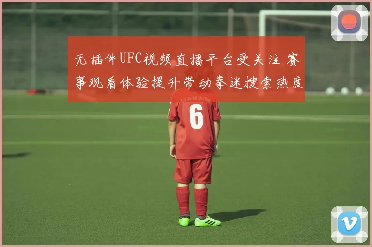 无插件UFC视频直播平台受关注 赛事观看体验提升带动拳迷搜索热度