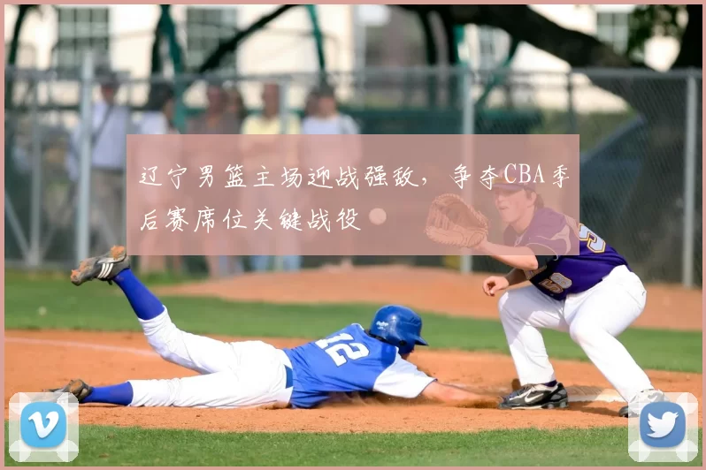 辽宁男篮主场迎战强敌，争夺CBA季后赛席位关键战役